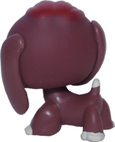 #0849 Beagle